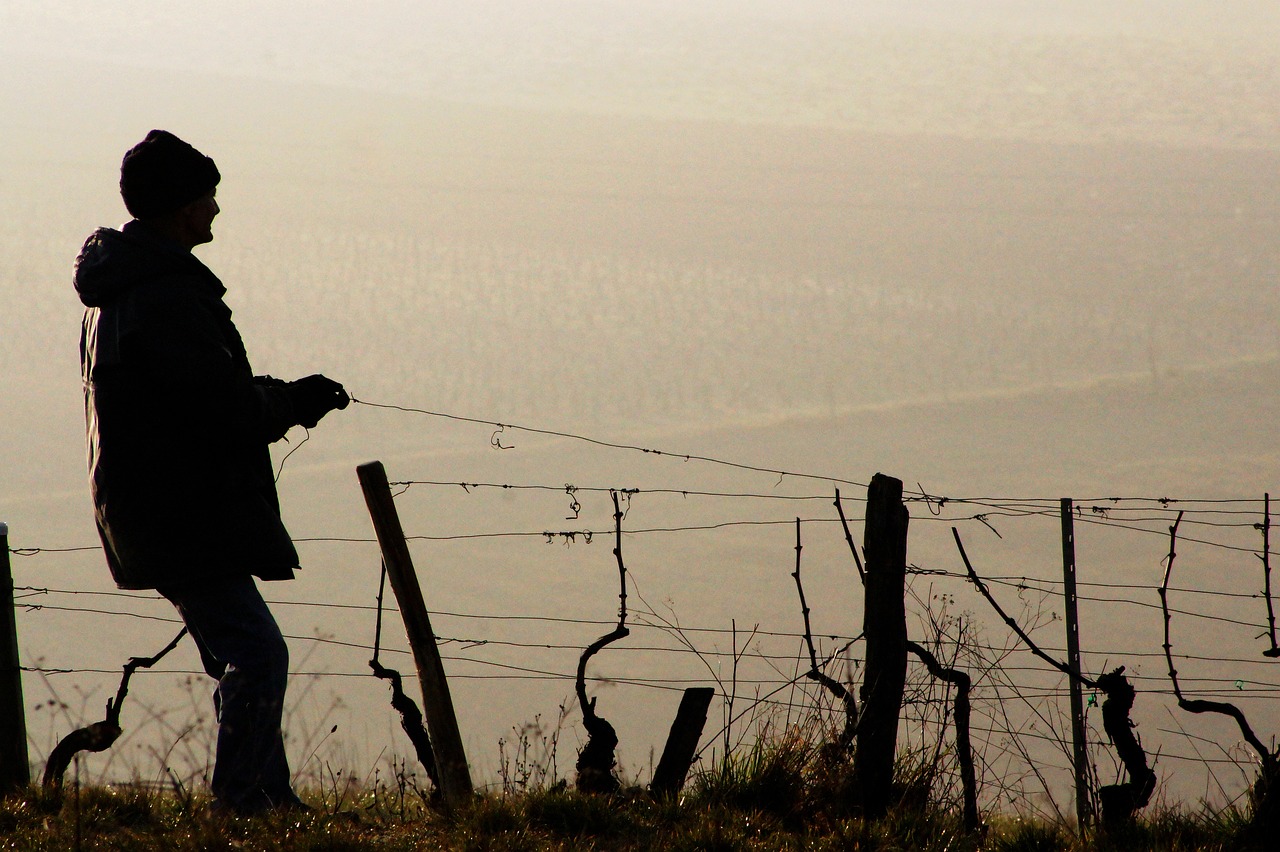 The Hidden Wonders of Spain’s Basque Country